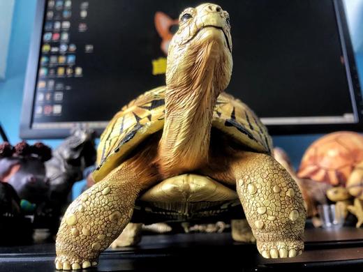 精品模型【满花 / 黑背辐射】22cm 辐射陆龟 模型，栩栩如生，不犯法 商品图1