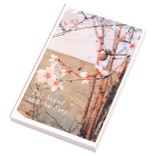 【中商原版】喧哗与骚动 英文原版 The Sound and the Fury 威廉 福克纳获奖 William Faulkner Vintage Classics 经典小说 商品图2