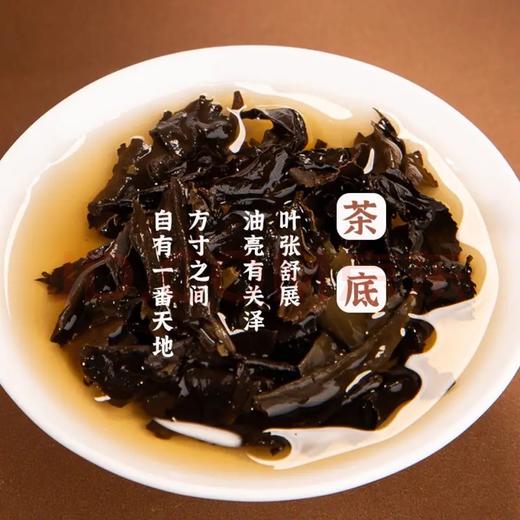 2015年福鼎松压老白茶15190一级寿眉500g 商品图4