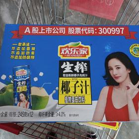 欢乐家椰子汁植物蛋白饮料