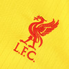 NIKE/耐克 21-22赛季利物浦三客球迷版球衣短袖男DB5902704 商品缩略图2