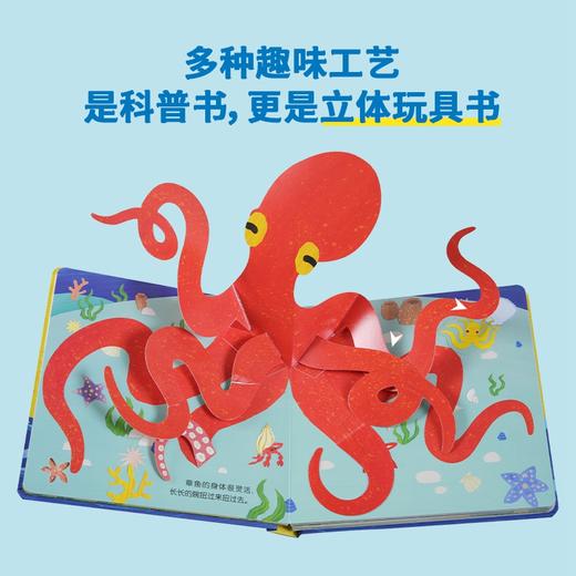 宝宝的动物朋友（套装共4册） 商品图3