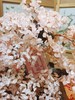 粉水晶桃花树（含专门定制和合福） 商品缩略图2