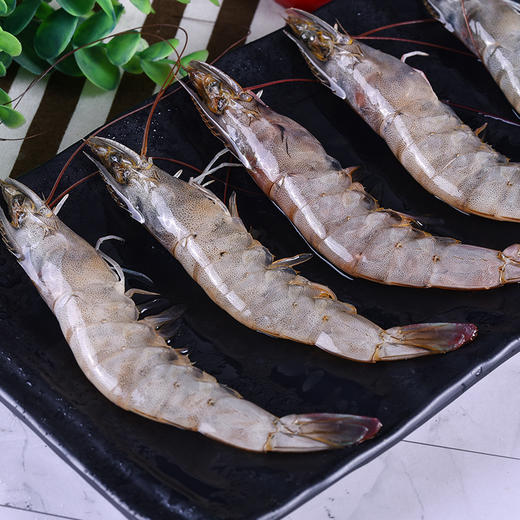 【南美白虾 净重3.3斤】| 活冻锁鲜，壳薄体肥，肉肥个大，肉质鲜嫩，紧实Q弹，新鲜的食材，一目了然 商品图4