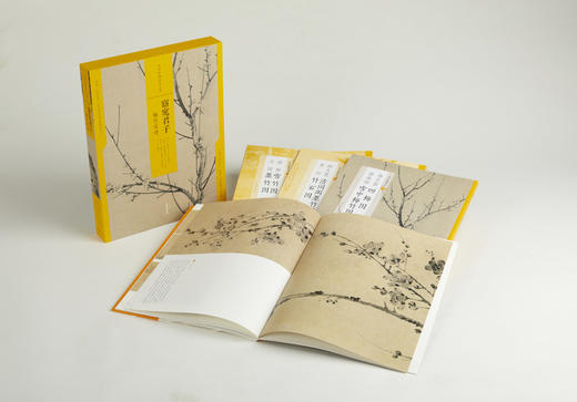 中国绘画名品（合集）·窈窕君子：梅竹双清 256元 商品图1