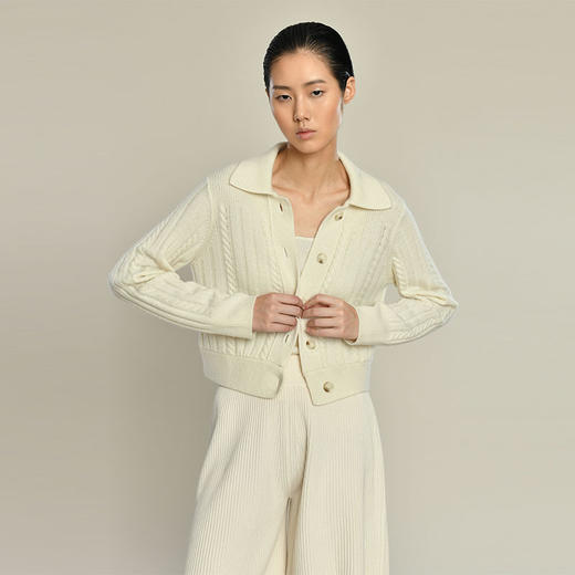 女士2021新款纯山羊绒翻领短款绞花开衫 商品图0