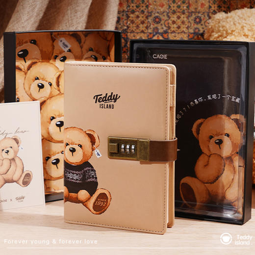 卡杰泰迪熊系列复古密码本B6/CB6J-TD05女孩日记本带锁女生秘密男生小学生儿童复古带锁日记本创意手帐本 商品图2