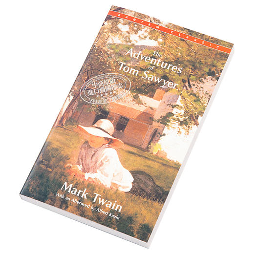 【中商原版】汤姆索亚历险记 英文原版小说 The Adventures of Tom Sawyer 英文版 英文原版书 百年经典名著 商品图2