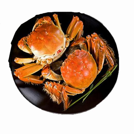 大闸蟹（3两母） 商品图1
