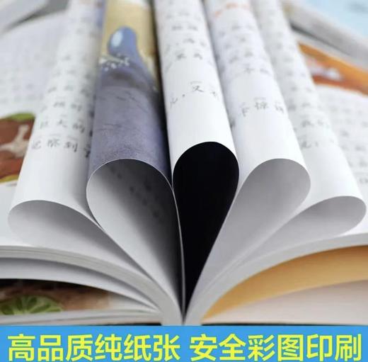 爱丽丝、绿野仙踪、尼尔斯 骑鹅旅行记、柳林风声 、三十六计、上下五千年 3-12岁 彩图注音版 商品图7
