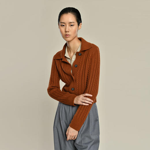 女士2021新款纯山羊绒翻领短款绞花开衫 商品图3