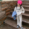 女童套装字母印花韩版卫衣加长裤21秋装新款童装=3-8岁 商品缩略图0
