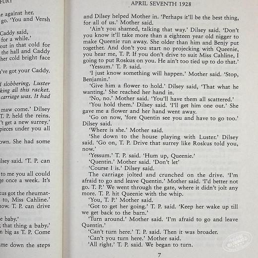 【中商原版】喧哗与骚动 英文原版 The Sound and the Fury 威廉 福克纳获奖 William Faulkner Vintage Classics 经典小说 商品图6