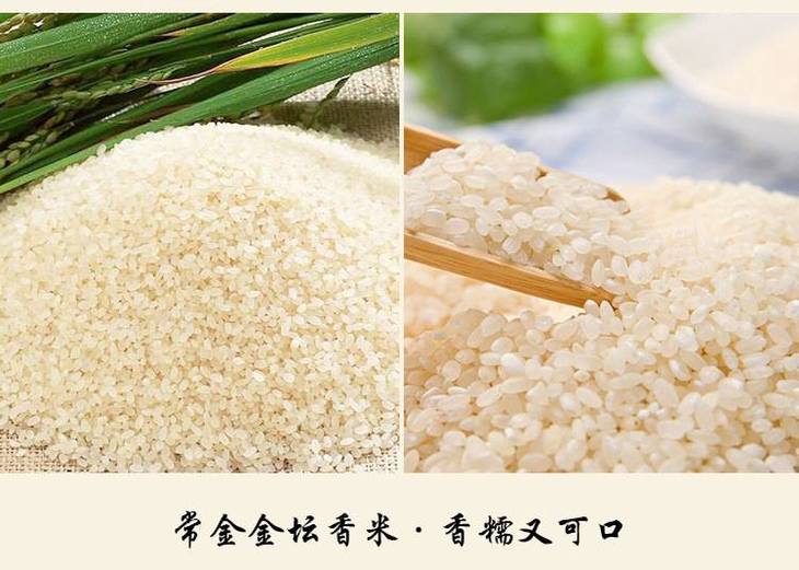 常金大米 5kg金坛香米 优质大米 江南江苏大米 16年新米包装米