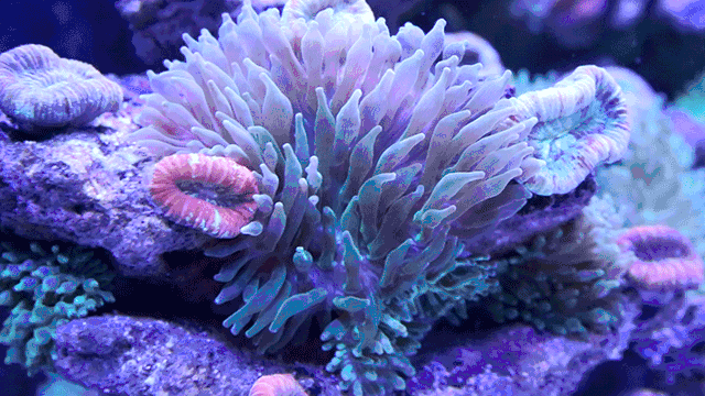 640_360gif 动态图 动图