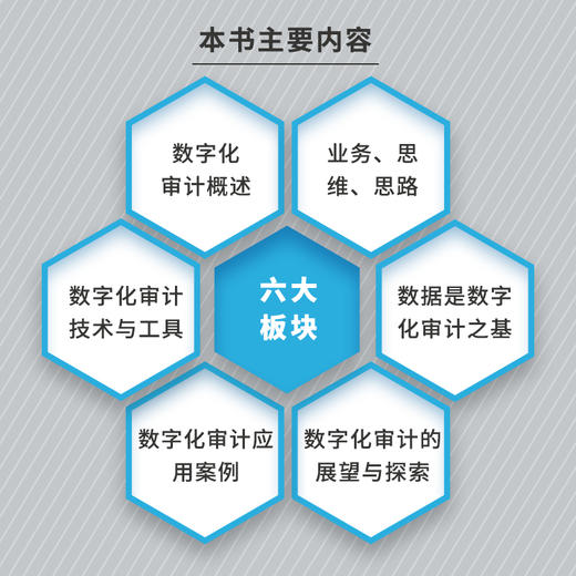 数字化审计实务指南 商品图2