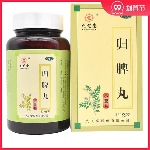 九芝堂 归脾丸120g 商品图0