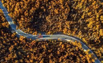 【新东方快车】“我爱浙疆” 新疆豪华专列（10月24日出发） 商品图0