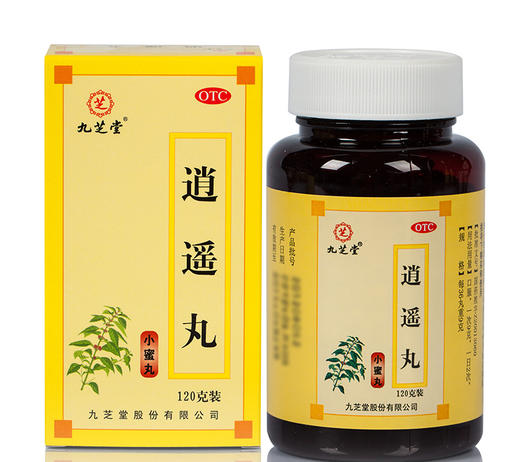 九芝堂 逍遥丸 小蜜丸 120g*1瓶/盒疏肝健脾 养血调经 胸肋胀满 商品图4