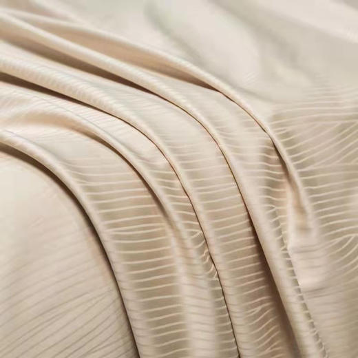 100支纱提花四件套。220*240 被罩 商品图4