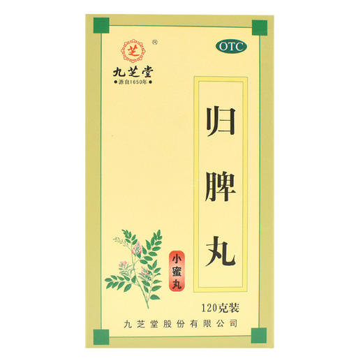 九芝堂 归脾丸120g 商品图1