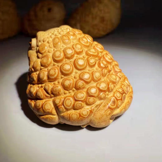 竹根蟾蜍小号 商品图1