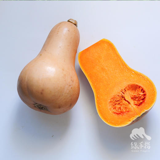 生态奶油南瓜 | 合作生产*Eco-Butternut Squash 商品图4