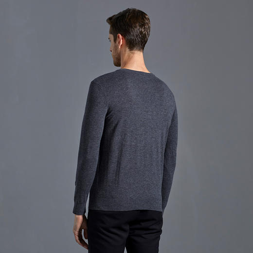 GOOD LUCK /德鲨绵羊毛混纺时尚提花圆领休闲羊毛衫F283215 商品图7