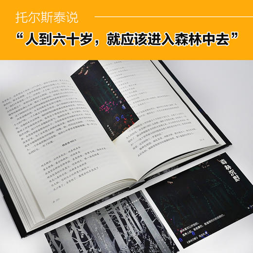森林沉默 商品图6