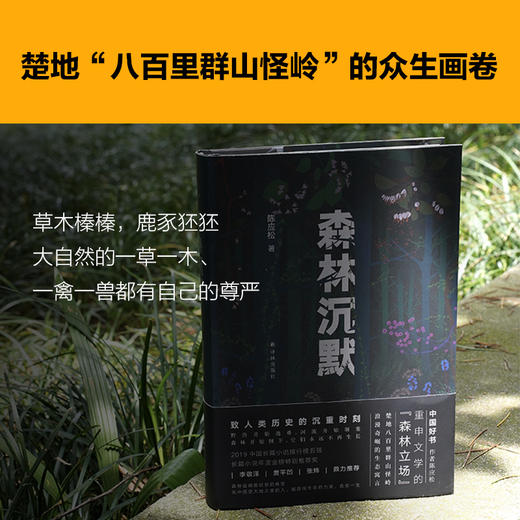 森林沉默 商品图4