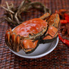 【花津湖】【八将军】【卡券】御品名蟹--八将军蟹 商品缩略图1