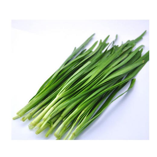 【万寿河净菜】270g万寿河 韭菜  ±10g  原生态净菜 商品图1