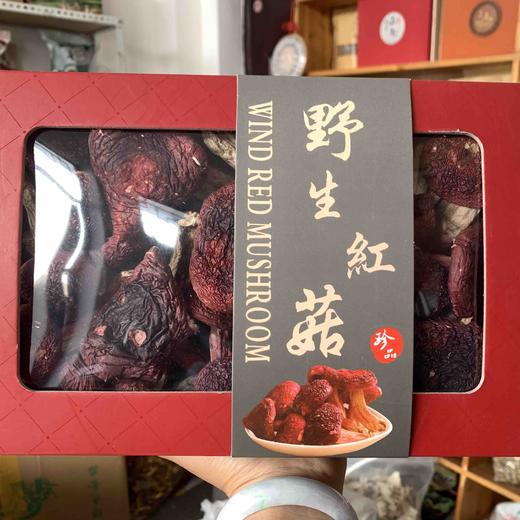 【野生高山红菇】 月子菇 正红菇 标菇 /汤红味甜 营养丰富 老少皆宜/新货包邮 商品图13
