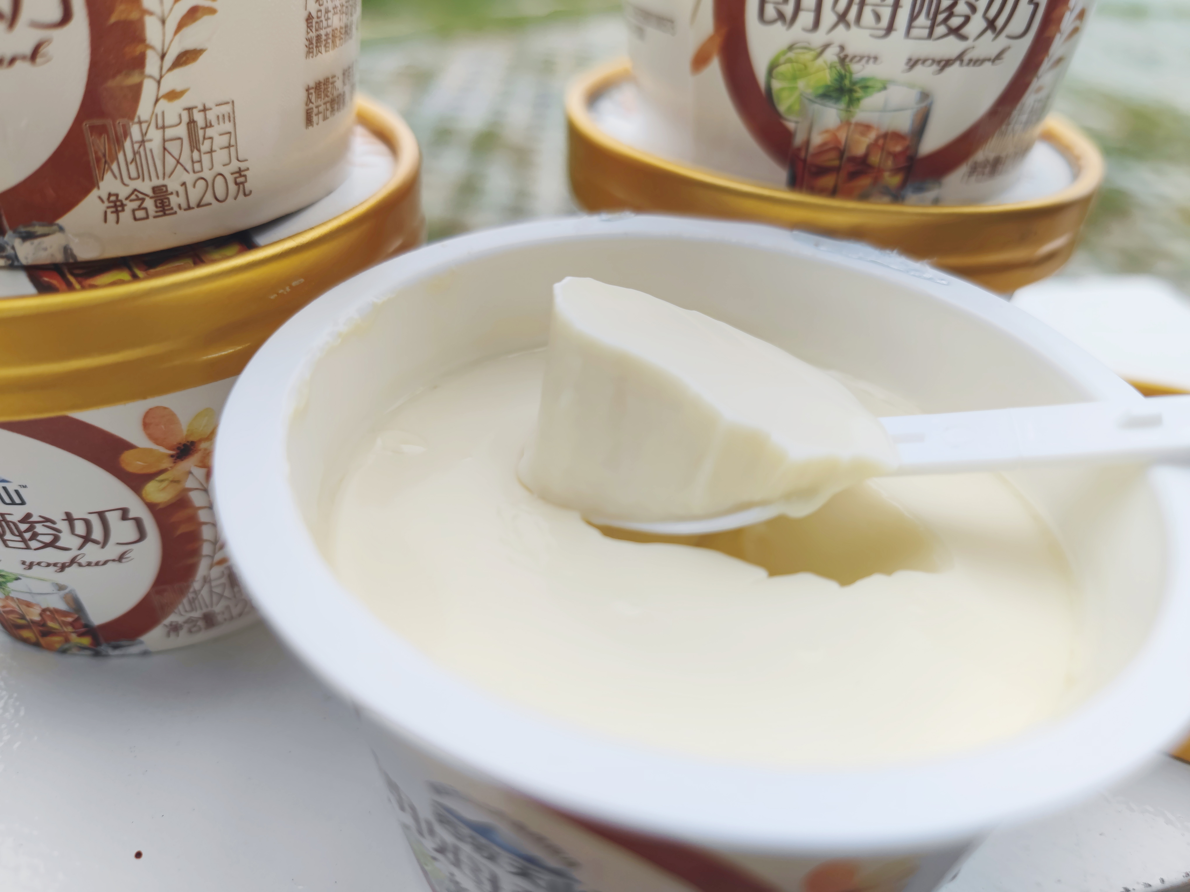 西牧天山朗姆酸奶