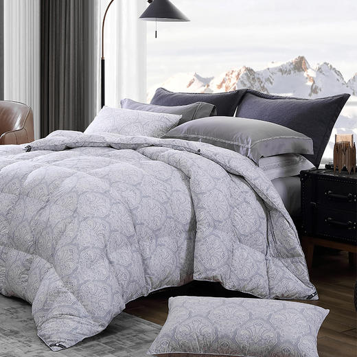 舒爽体感 梅森暖柔波兰鹅绒被 商品图1