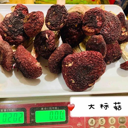 【野生高山红菇】 月子菇 正红菇 标菇 /汤红味甜 营养丰富 老少皆宜/新货包邮 商品图4
