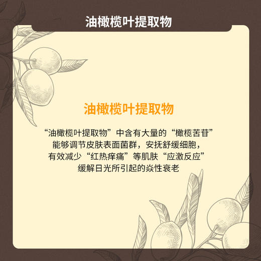 言之有物 抗氧小马达 油橄榄VC精华液30ml 2.0新版送2片自愈膜 商品图3