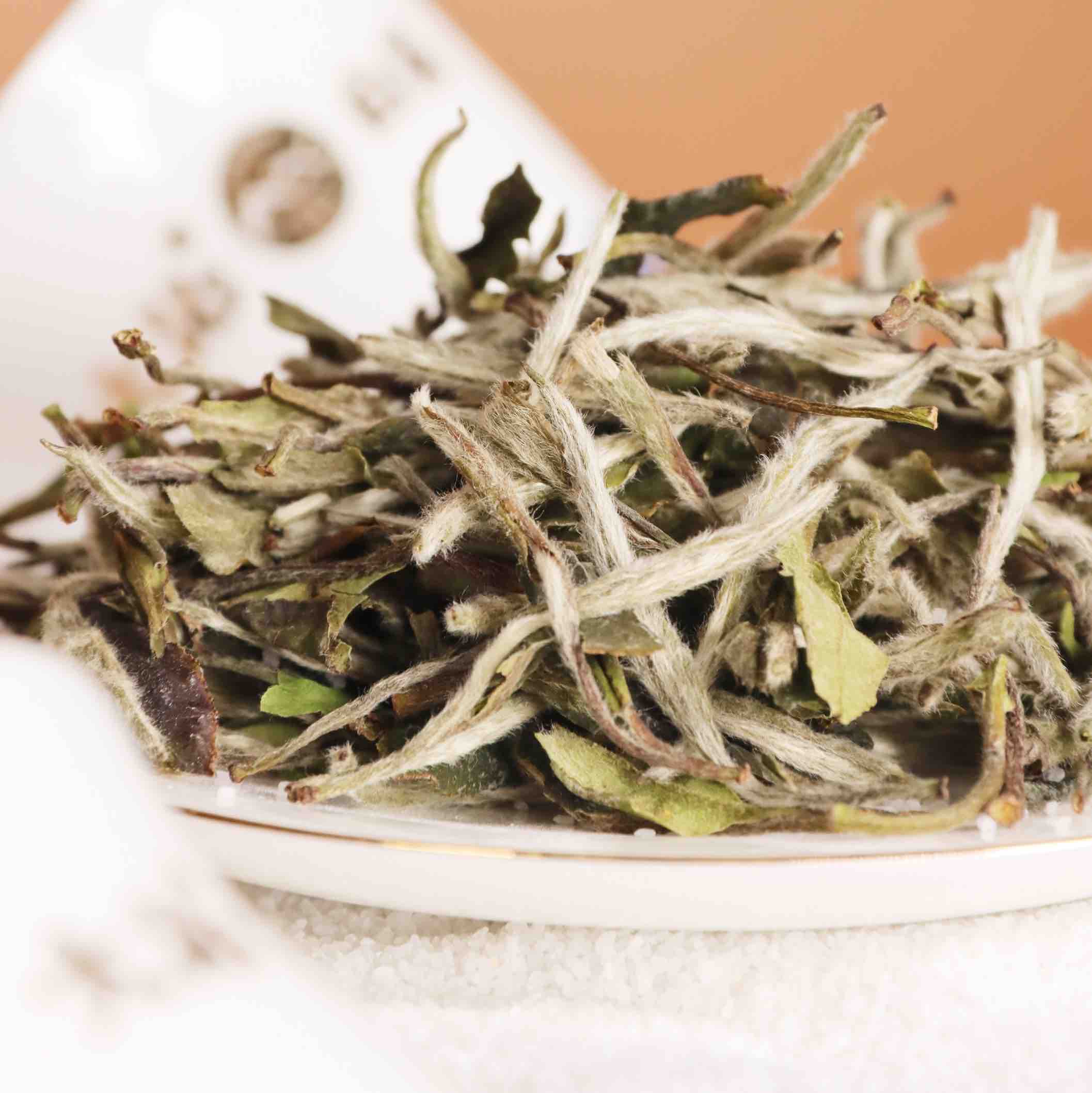 大沁白茶沁藏2021年白牡丹500g木箱装