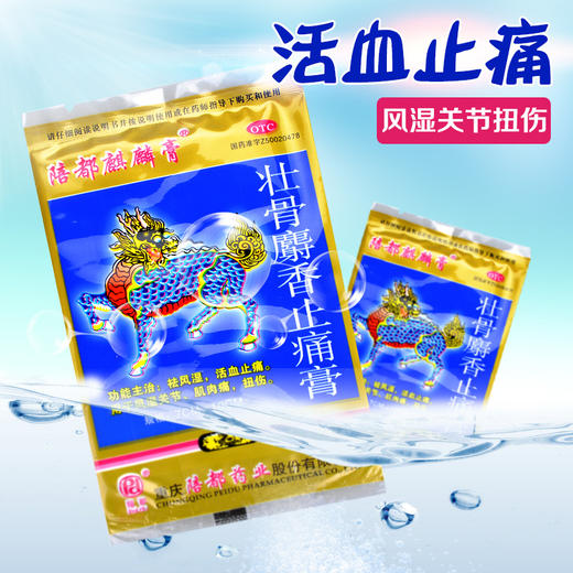 陪都 壮骨麝香止痛膏4片活血止痛风湿关节肌肉痛扭伤 商品图4