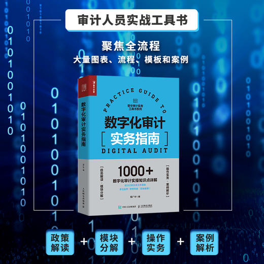 数字化审计实务指南 商品图1