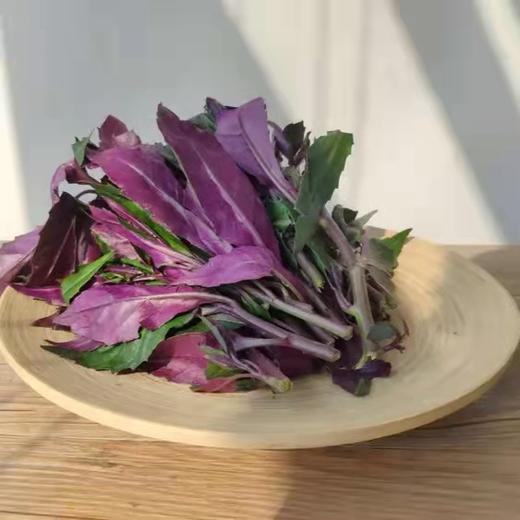 赞字村紫背天葵(±25g)