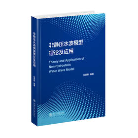非静压水波模型理论及应用 9787313250384 张景新