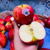 美国🇺🇸爱妃苹果大果🍎（只） 商品缩略图6