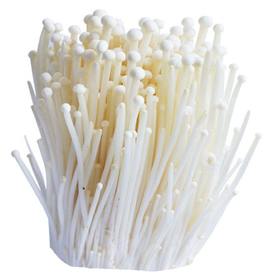 【次日提配】150g万寿河 金针菇