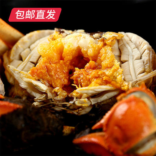 【和美共团圆】金世尊大闸蟹1088型 商品图1