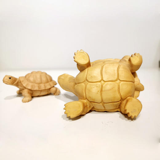 富甲一方神龟°大款&小款 商品图4