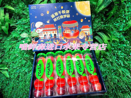 新西兰🇳🇿火箭苹果礼盒 商品图4