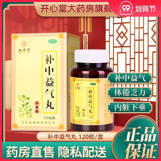九芝堂 补中益气丸 120g*1瓶/盒 商品图0
