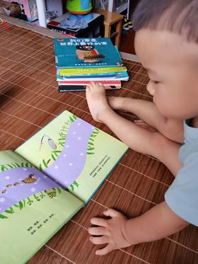 《飞飞的天空》：安谧平和的景色,蕴藏着无限的生命力