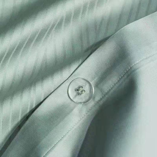 100支纱提花四件套。    200*230 被罩 商品图4